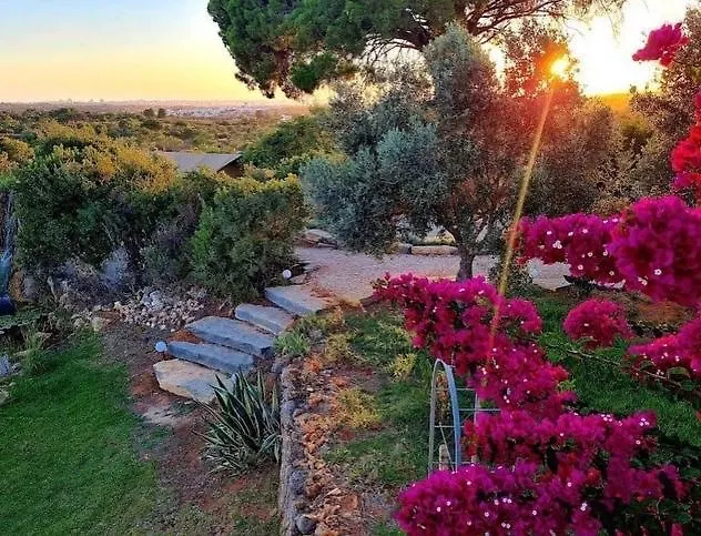 Oasis Camp Portugal